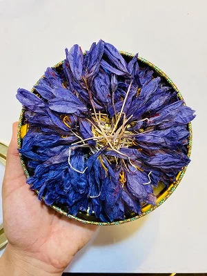 غنچه خشک شده