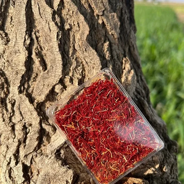 خرید آنلاین شکسته زعفران نیم مثقالی