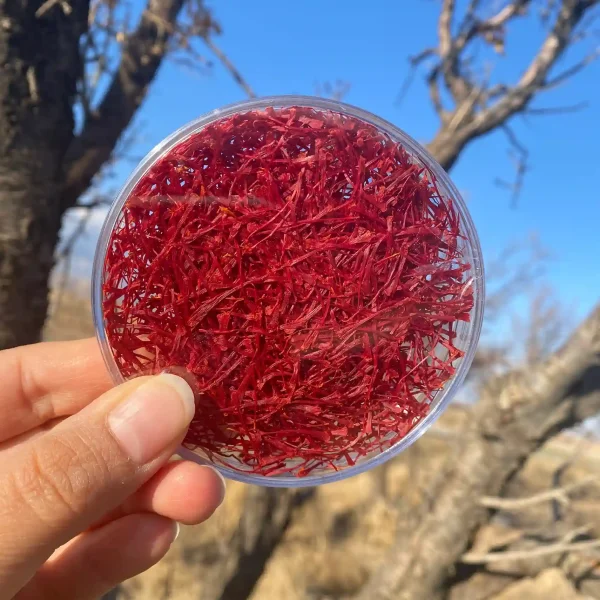 زعفران سوپرنگین صادراتی ۵ گرمی با کیفیت طبیعی