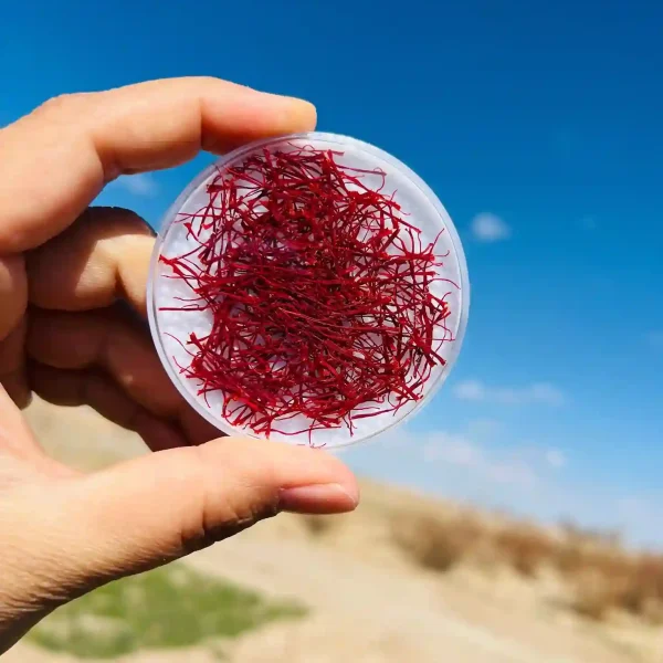 زعفران نگین سنتی خشک یک گرمی با کیفیت طبیعی