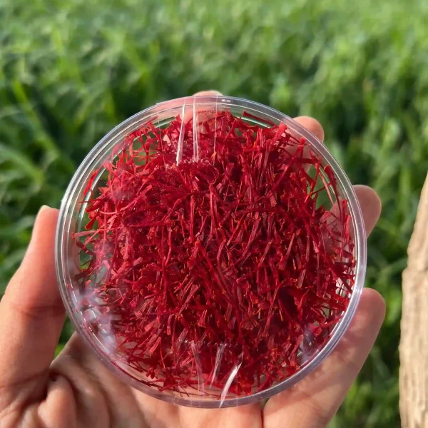 زعفران سوپرنگین صادراتی یک مثقالی با کیفیت بالا