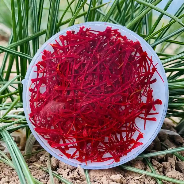 زعفران سوپرنگین صادراتی یک گرمی با کیفیت طبیعی