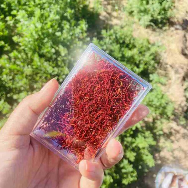 زعفران پوشال نیم مثقالی