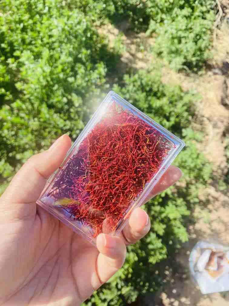 زعفران پوشال نیم مثقالی